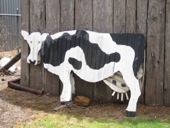 Denmark Historical Museum, Cow