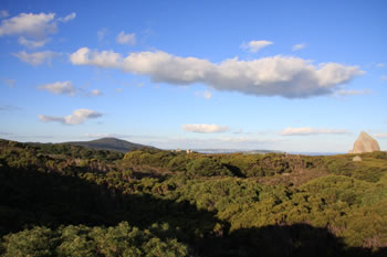 Tower Hill, William Bay NP
